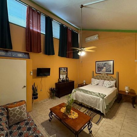 Shalom Suite 2, Manor Park Kingston Ngoại thất bức ảnh