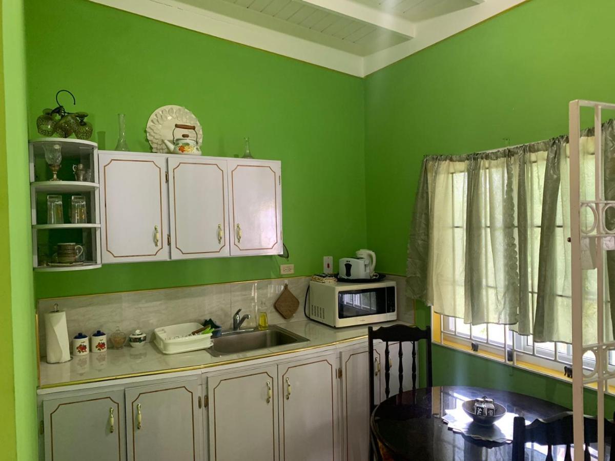 Shalom Suite 2, Manor Park Kingston Ngoại thất bức ảnh