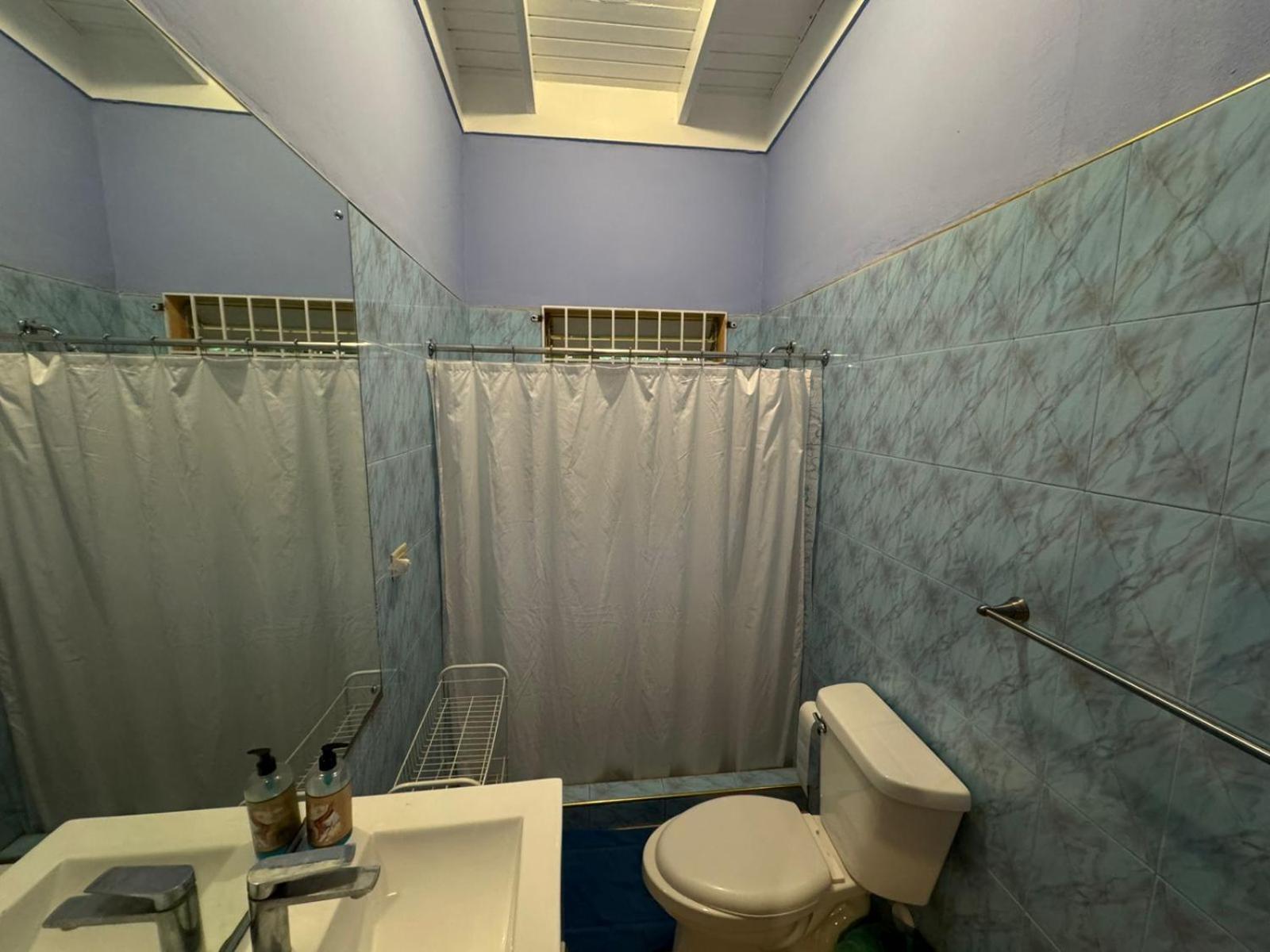 Shalom Suite 2, Manor Park Kingston Ngoại thất bức ảnh