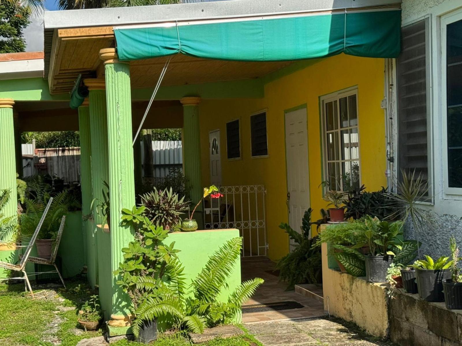 Shalom Suite 2, Manor Park Kingston Ngoại thất bức ảnh