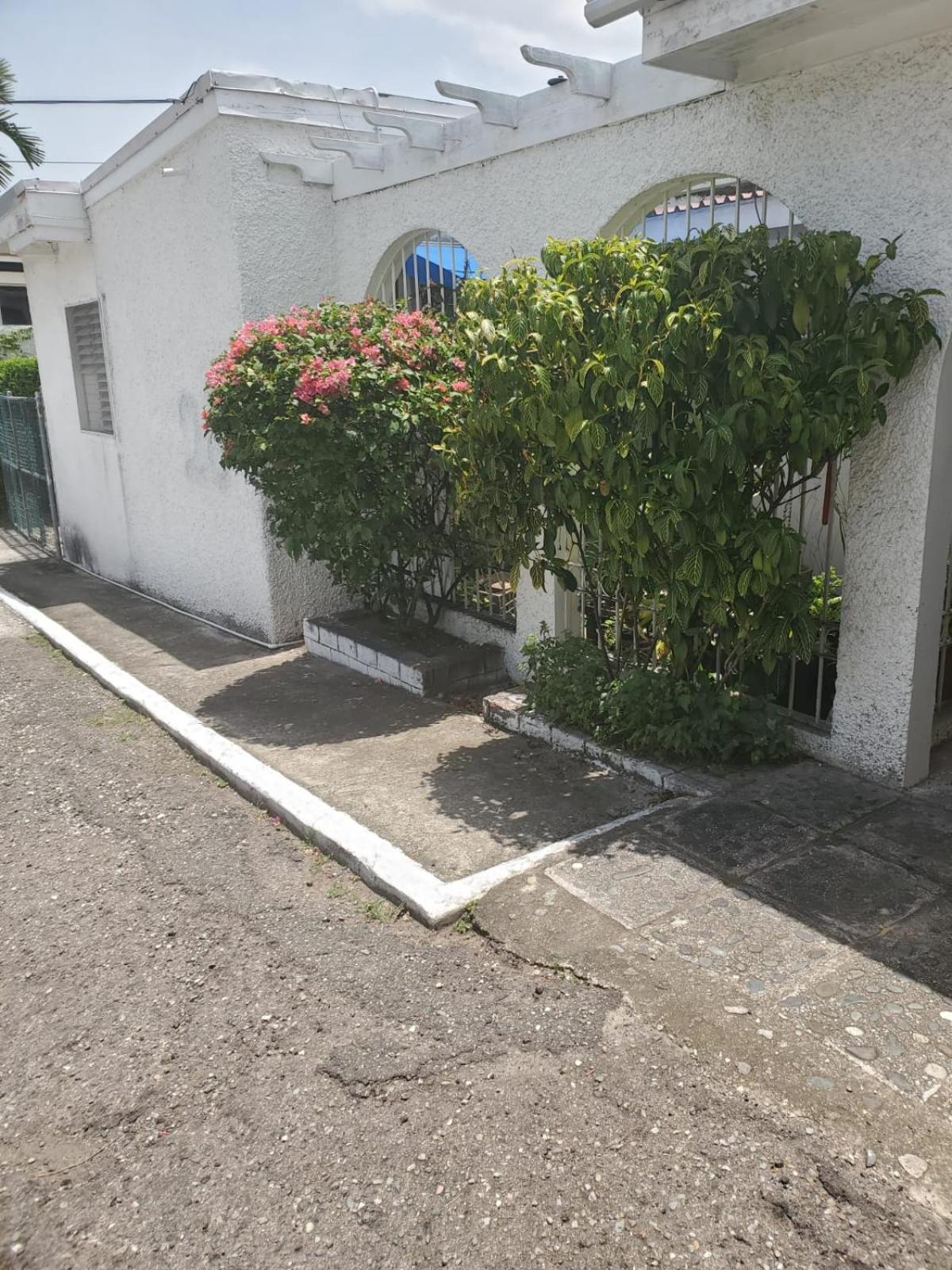 Shalom Suite 2, Manor Park Kingston Ngoại thất bức ảnh